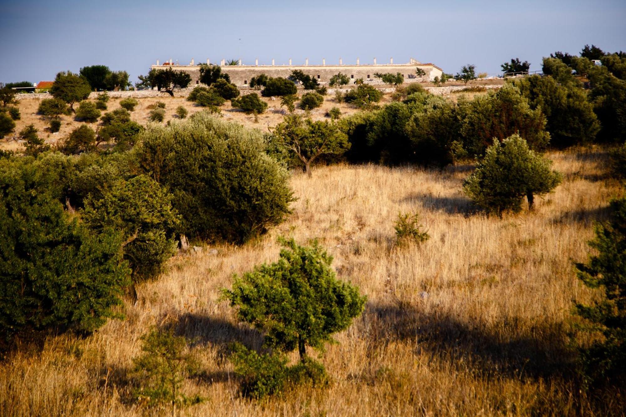 Di Luna Biomasseria Alloggio per agriturismo *